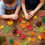 テーブルに並べられた木の実や葉っぱで工作をする子供たちの手元