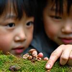 森の地面を注意深く観察する子供たち