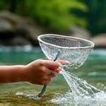 川で網を使い、水生生物を探す子供と保護者